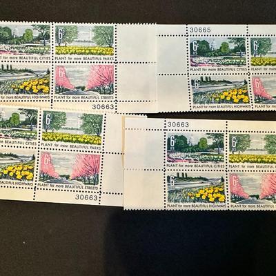 6 Cent Plant for More Beautiful Cities