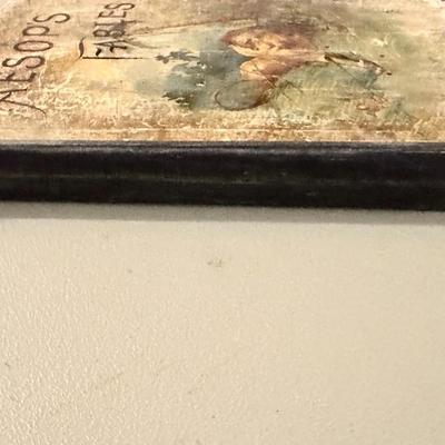 Aesops Fables Book