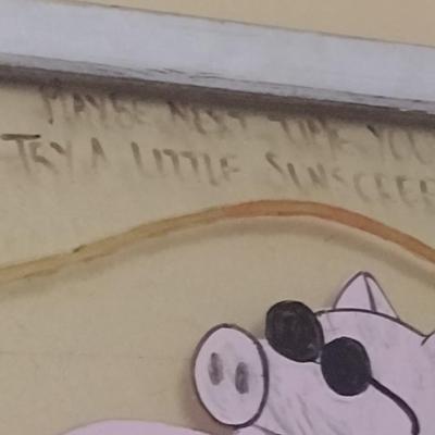 Whimsically Painted Vintage Wood Framed Window Pig Too Much Sun