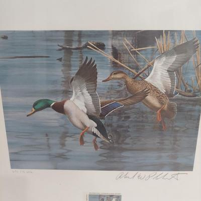 Ducks Unlimited Collectable Stamps and Art (PC-BBL)