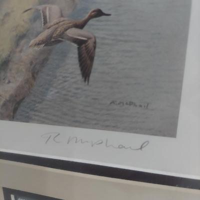 Ducks Unlimited Collectable Stamps and Art (PC-BBL)