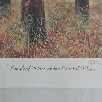 Signed and Numbered Coastal & More NC Prints (PC-BBL)