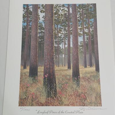 Signed and Numbered Coastal & More NC Prints (PC-BBL)