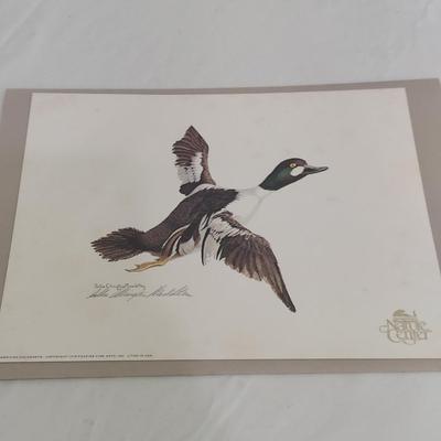 Two Pieces of Signed Bird Art (PC-BBL)