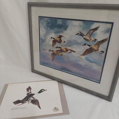 Two Pieces of Signed Bird Art (PC-BBL)