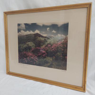 E & E Fisher - Six Framed Prints of WNC (PC-BBL)