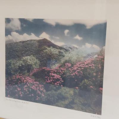 E & E Fisher - Six Framed Prints of WNC (PC-BBL)