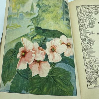 Garden Flowers