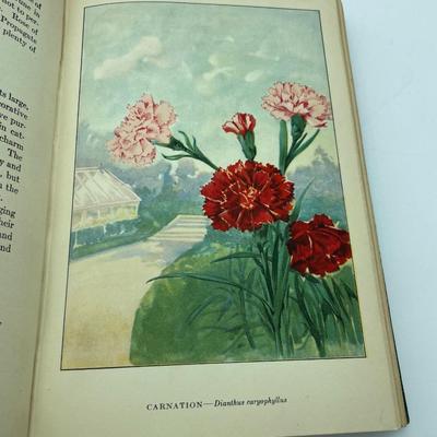 Garden Flowers