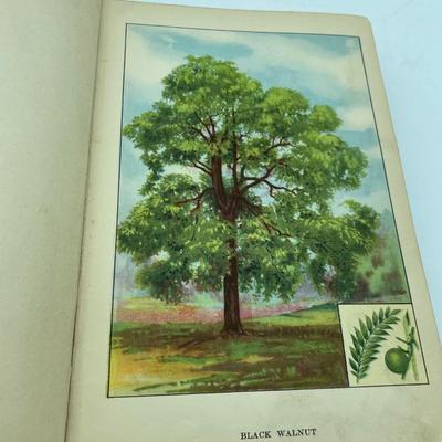 Trees