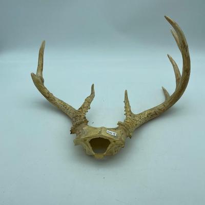 Antlers