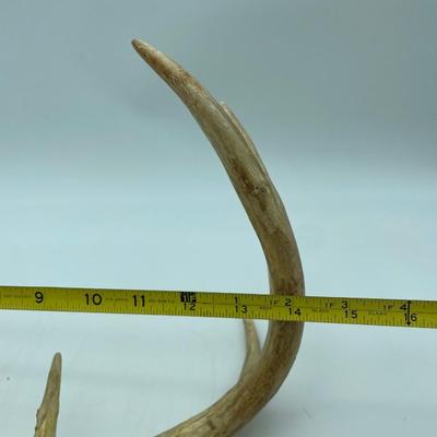 Antlers