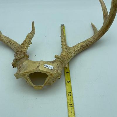 Antlers