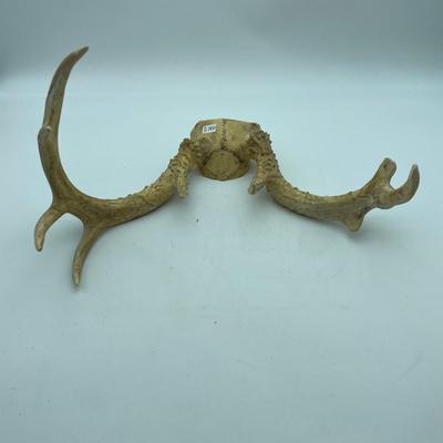 Antlers