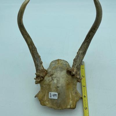 Antlers