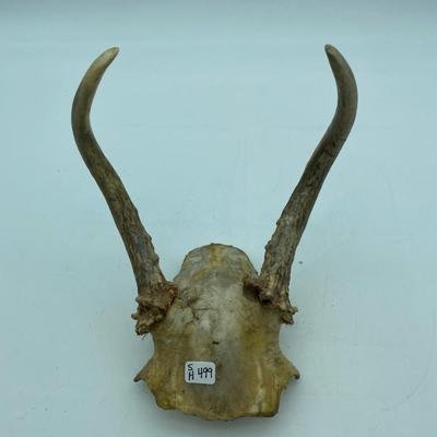 Antlers