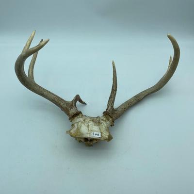 Antlers