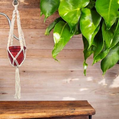 White Macrame Plant Hanger