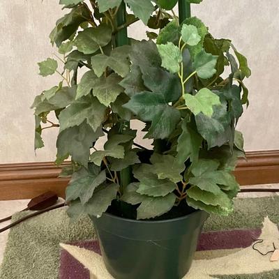 Artificial Trellised Grapevine