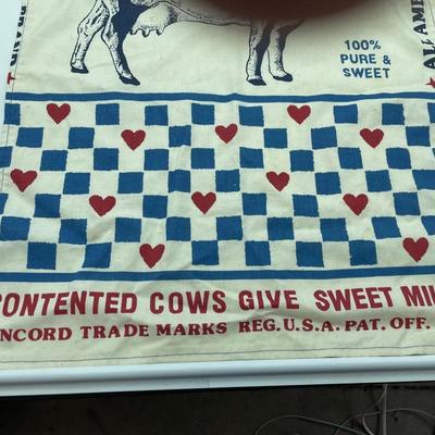 Blue ribbon apron