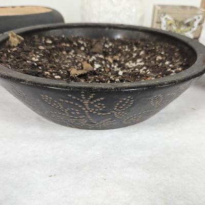 Assortment Of Flower Pots
