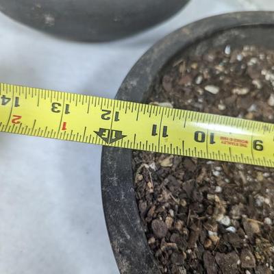 Assortment Of Flower Pots