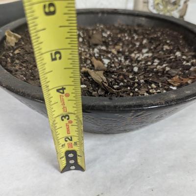 Assortment Of Flower Pots
