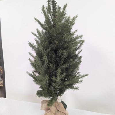 Lighted Christmas Tree With Box