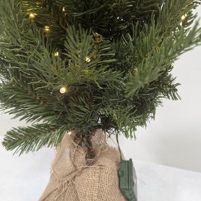 Lighted Christmas Tree With Box