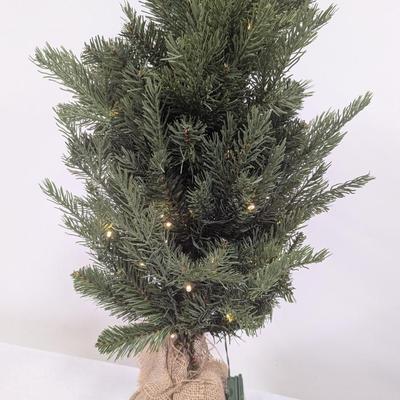 Lighted Christmas Tree With Box