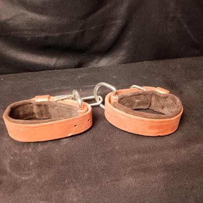 LEATHER PADDED ANKLE STRAPS? AND NYLON STRAP