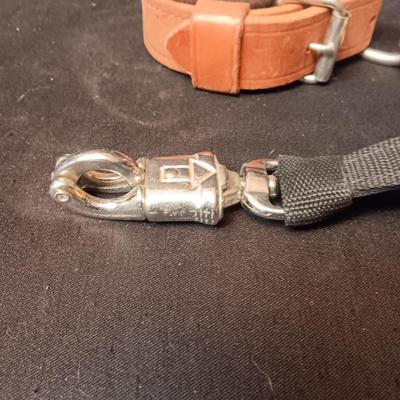 LEATHER PADDED ANKLE STRAPS? AND NYLON STRAP