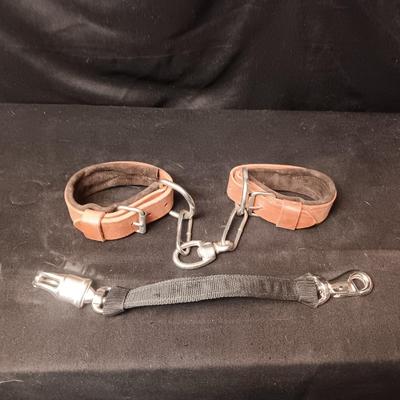 LEATHER PADDED ANKLE STRAPS? AND NYLON STRAP