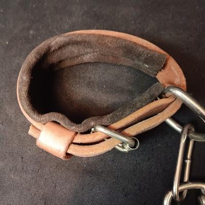 LEATHER PADDED ANKLE STRAPS? AND NYLON STRAP