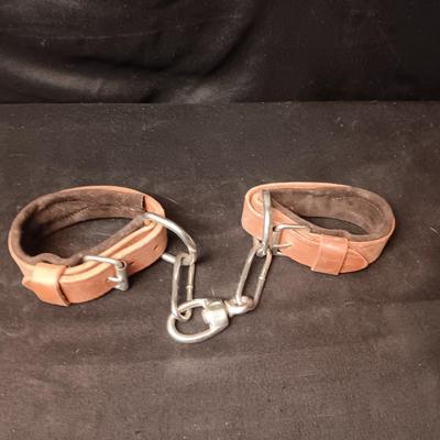 LEATHER PADDED ANKLE STRAPS? AND NYLON STRAP