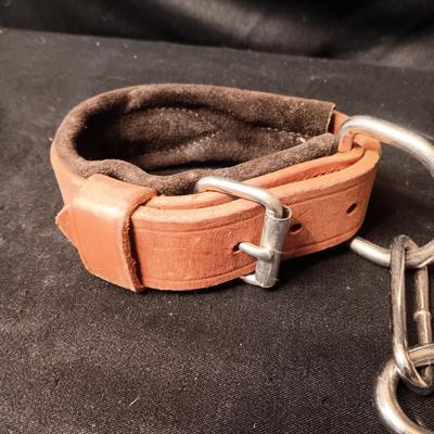 LEATHER PADDED ANKLE STRAPS? AND NYLON STRAP