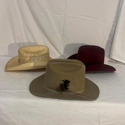 Collection of Felt Cowboy Hats w/ Stetson & Eddy (PB-MG)