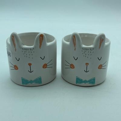 Bunny planter/catch all