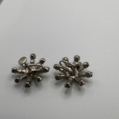 Elegant Evening Style Clip-On Earrings (K-DZ)