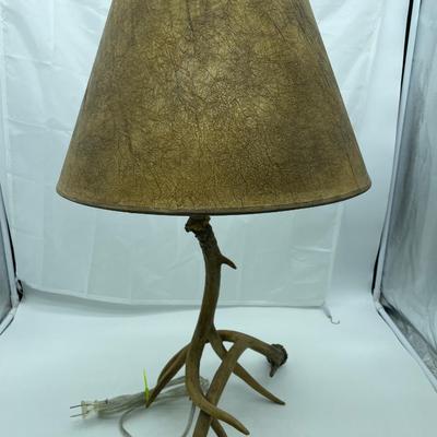 Antler lamp