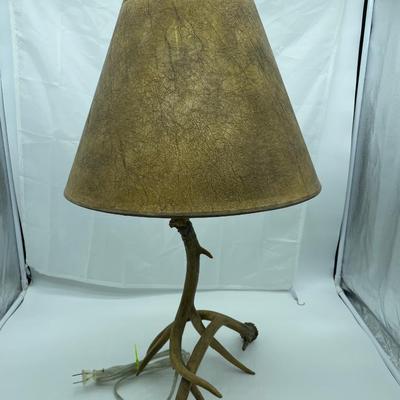 Antler lamp