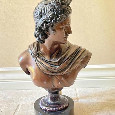 Apollo Belvedere Bust Bronze finish