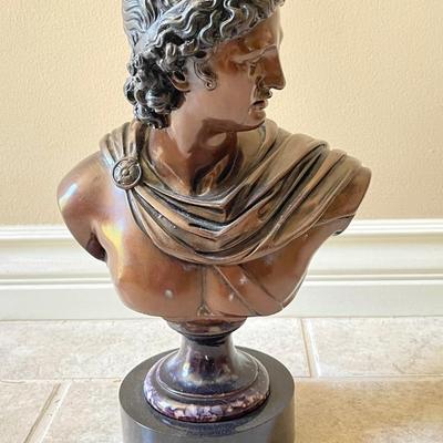 Apollo Belvedere Bust Bronze finish