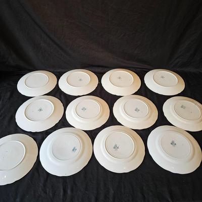 Swedish Green Anna Porcelain China (K-JS)