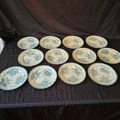 Swedish Green Anna Porcelain China (K-JS)