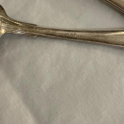 Demitasse Spoon Collection (LR-SS)