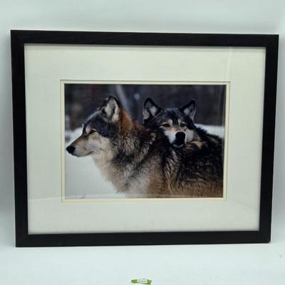 Coldwater Creek Framed Wolf Print