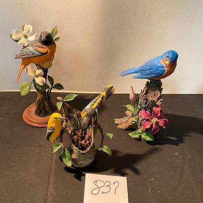 Bird Lot