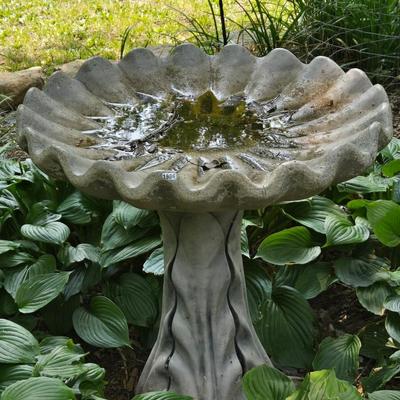 Birds Bath