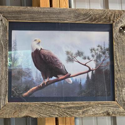Eagle Framed Print Art